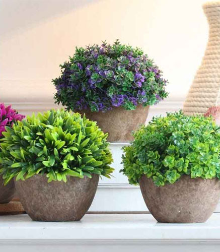 Plantes-en-pot