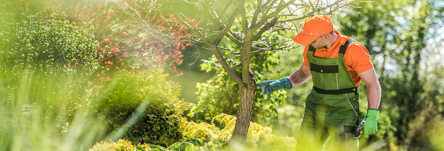 réaliser vos travaux d’aménagement de jardin