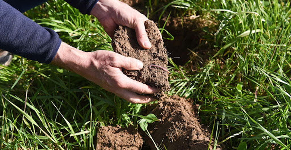 Paysagiste de dos analysant l'exposition d'un jardin avec boussole et carnet, maison bretonne traditionnelle en arrière-plan
